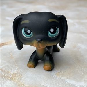 🏷 Littlest pet shop• Black Dachshund